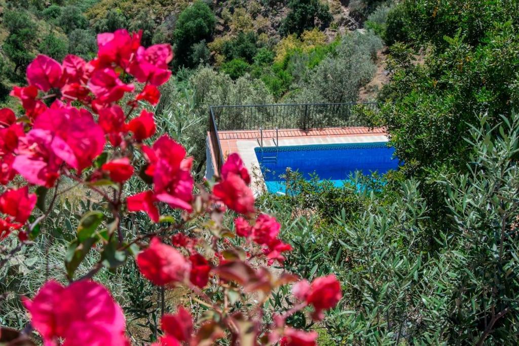 Casa Del Algarrobo Villa Canillas de Aceituno Bagian luar foto